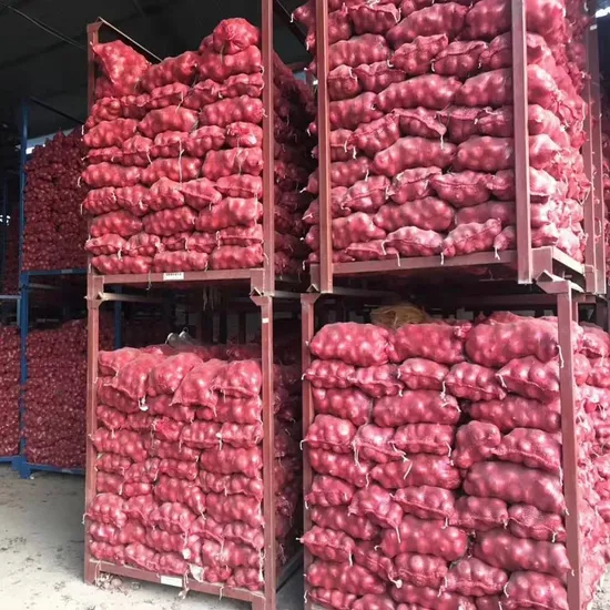 Fresh Onions